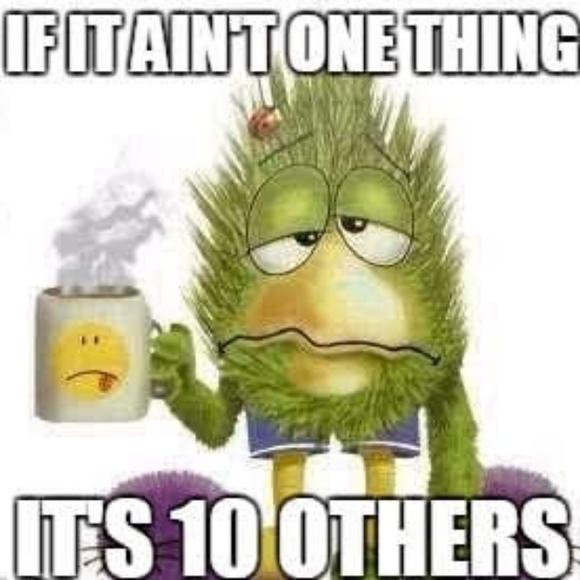 Live Show For Unlisted Jewelry - Picture 6 of 6